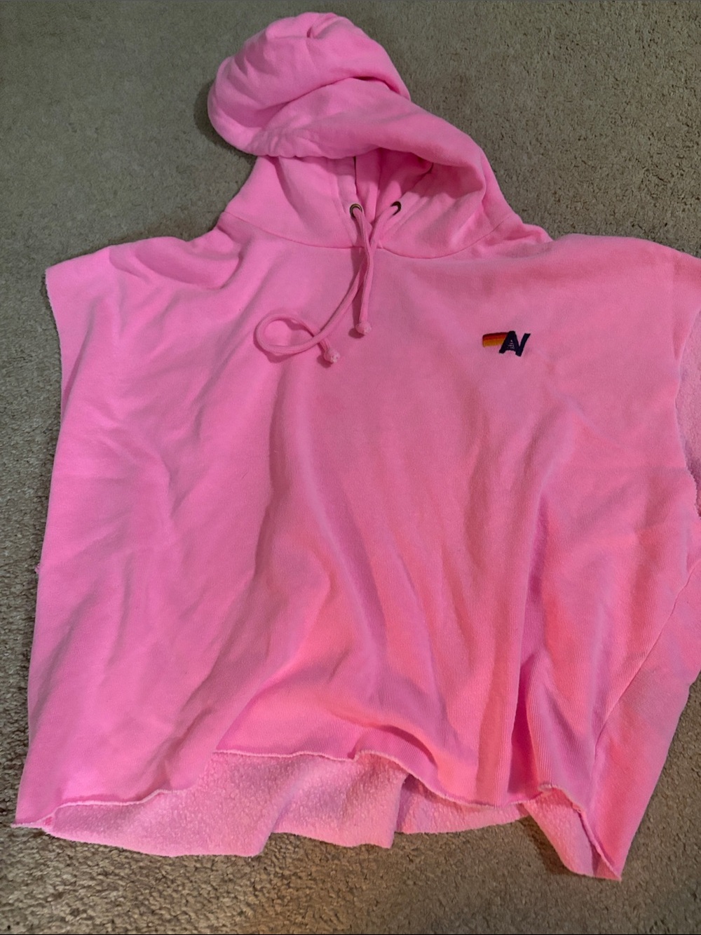 Aviator Nation Bubblegum Pink Hooded Pullover with Small Logo